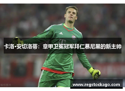 卡洛·安切洛蒂：意甲卫冕冠军拜仁慕尼黑的新主帅